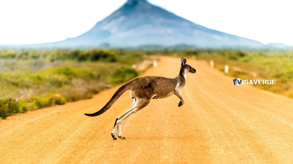 Safe Haven Enterprise Visa (Subclass 790) in Australia: Requirements, Eligibility, and FAQs Safe Haven Enterprise Visa (Subclass 790) in Australia: Requirements, Eligibility, and FAQs