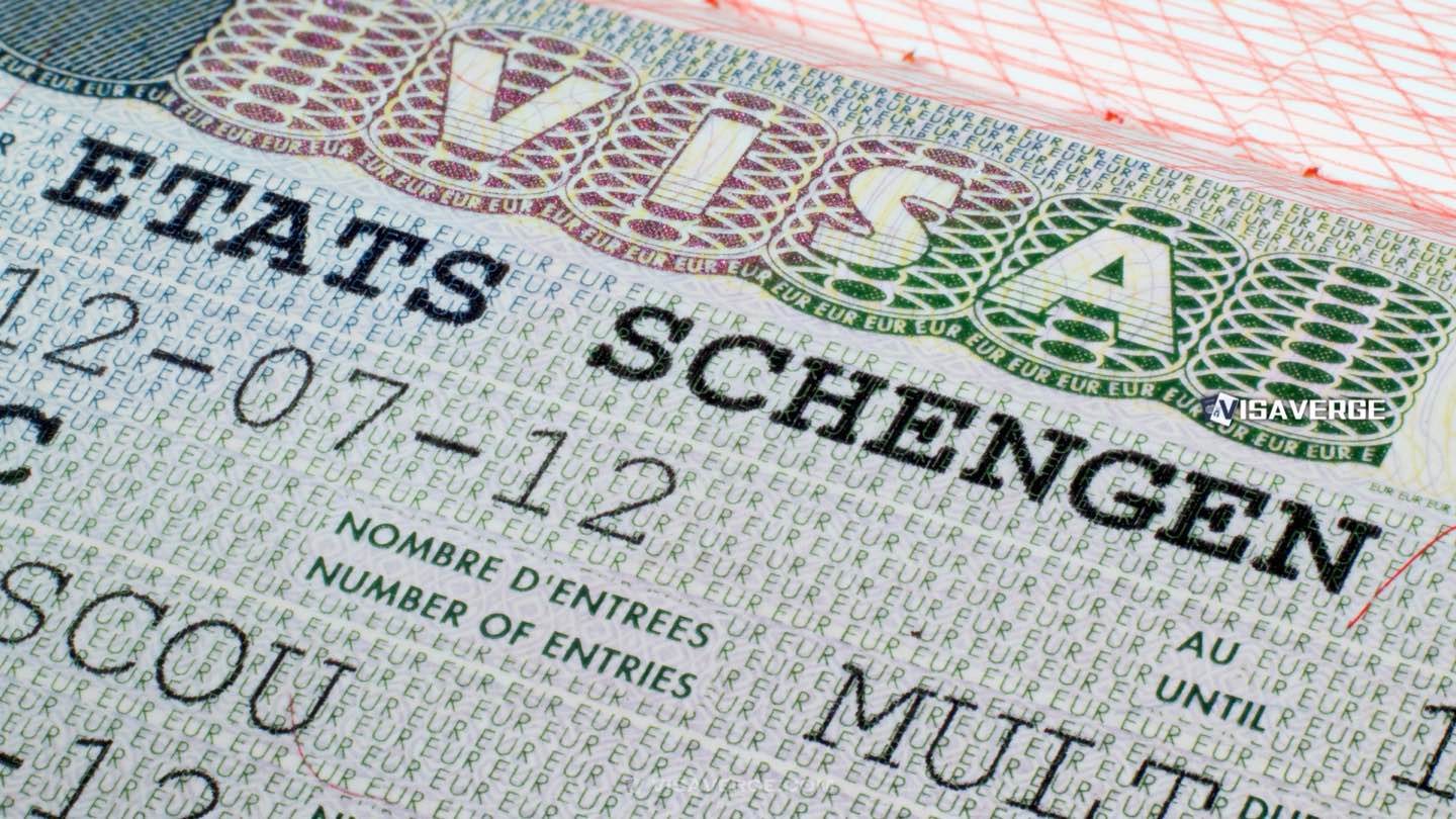 Schengen visa applications rise in 2024 but remain below 2019 levels