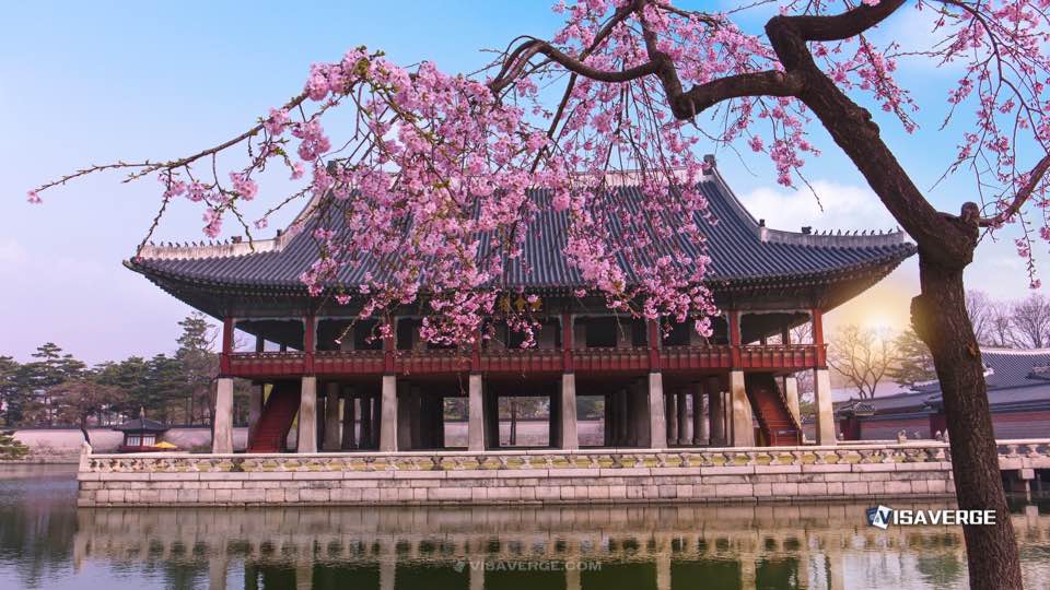 Korean Embassy Simplifies Visa Applications with More Credit Cards Korean Embassy Simplifies Visa Applications with More Credit Cards