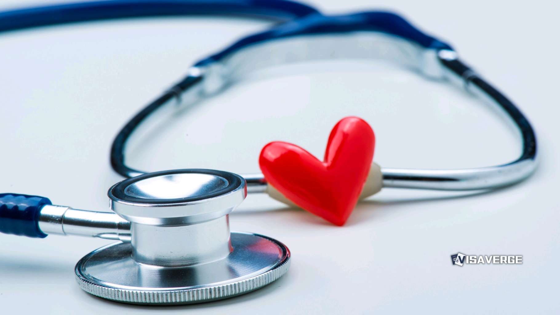 Healthcare Access for Undocumented Immigrants in Illinois 2024 Healthcare Access for Undocumented Immigrants in Illinois 2024