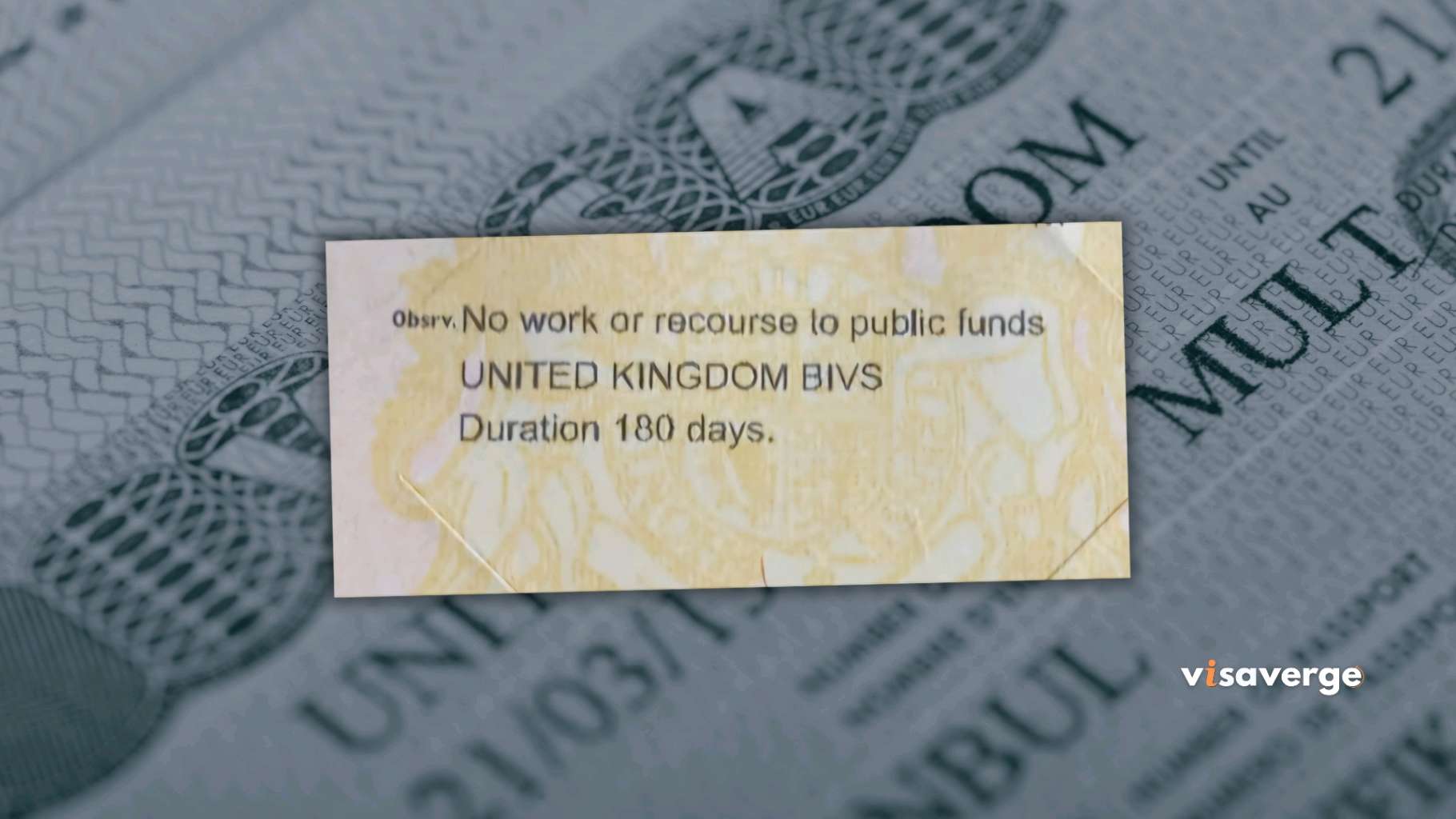 What Does “No Recourse to Public Funds” Mean? UK Visa What Does “No Recourse to Public Funds” Mean? UK Visa