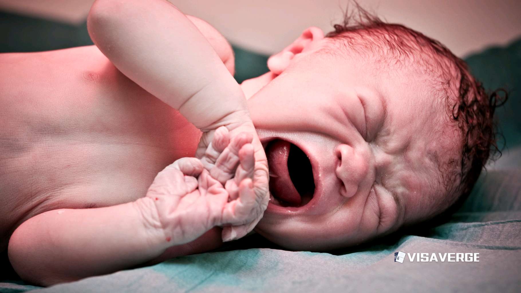 Judge Joseph Laplante Halts Order to End Birthright Citizenship in NH Judge Joseph Laplante Halts Order to End Birthright Citizenship in NH