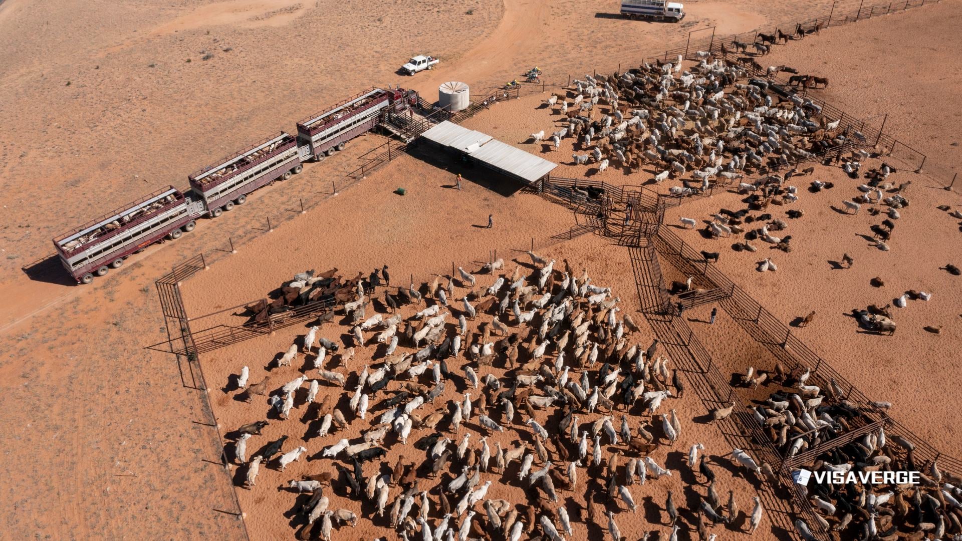 10,000 Maryland Immigrants at Risk as Trump Policy Fuels Fear 10,000 Maryland Immigrants at Risk as Trump Policy Fuels Fear