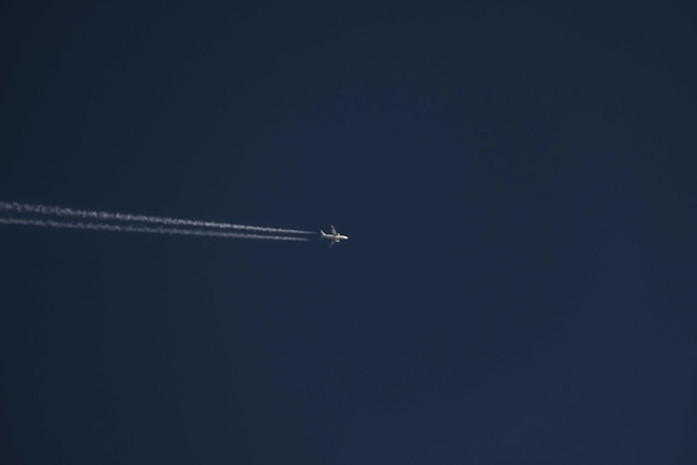 Avelo Airlines faces protests over ICE deportation flights Avelo Airlines faces protests over ICE deportation flights