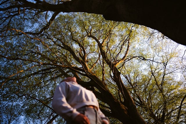 Raul Ical detained by ICE after hours hiding in San Antonio tree Raul Ical detained by ICE after hours hiding in San Antonio tree