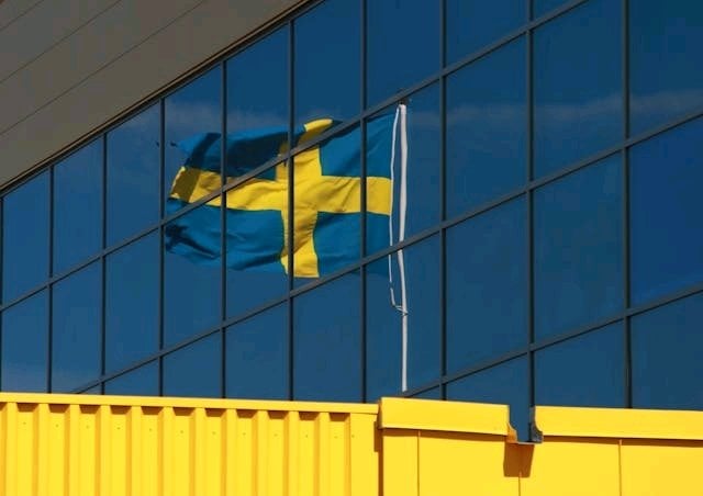 Swedish citizenship applicants face new security questions in 2025