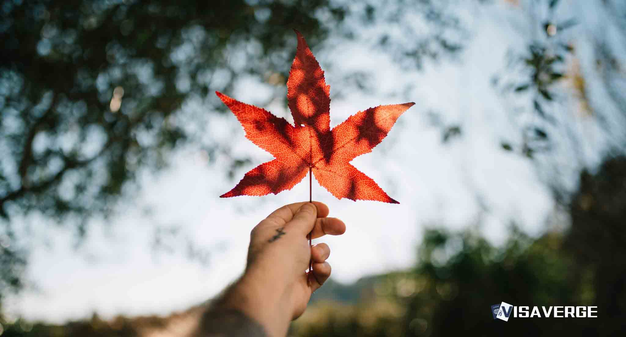 IRCC lets IEC work permits be mailed directly to applicants in Canada IRCC lets IEC work permits be mailed directly to applicants in Canada