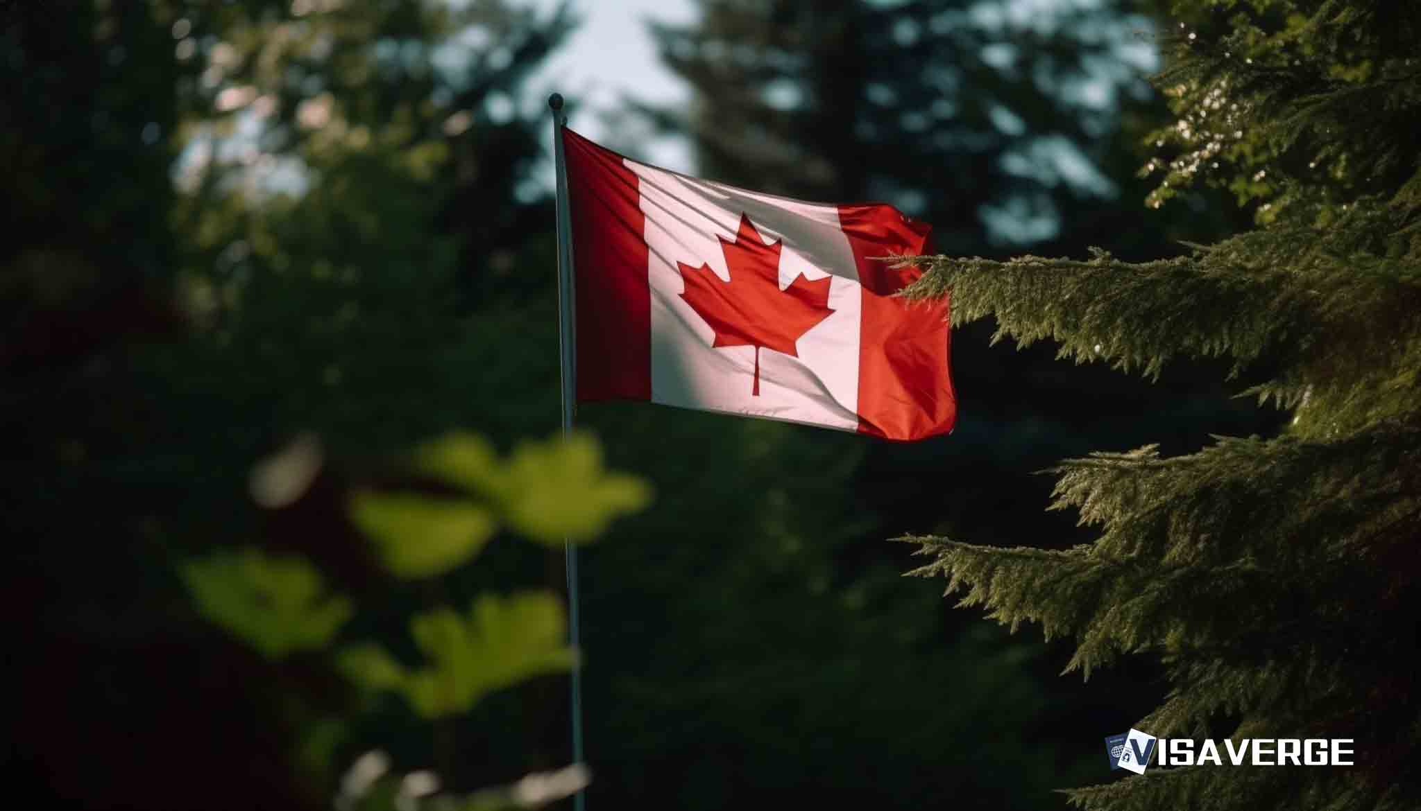 Quebec sees high immigration as fertility rates hit historic low Quebec sees high immigration as fertility rates hit historic low