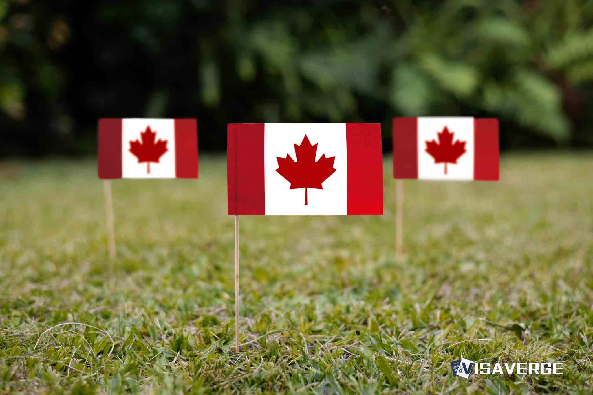 245 American Refugee Claims in Canada in First Half 2025 Signal Surge