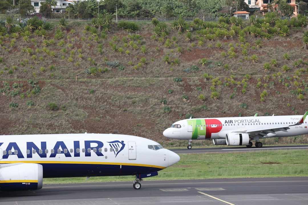 Ryanair Reports Strong Summer with Rising Bookings and Higher Fares Ryanair Reports Strong Summer with Rising Bookings and Higher Fares