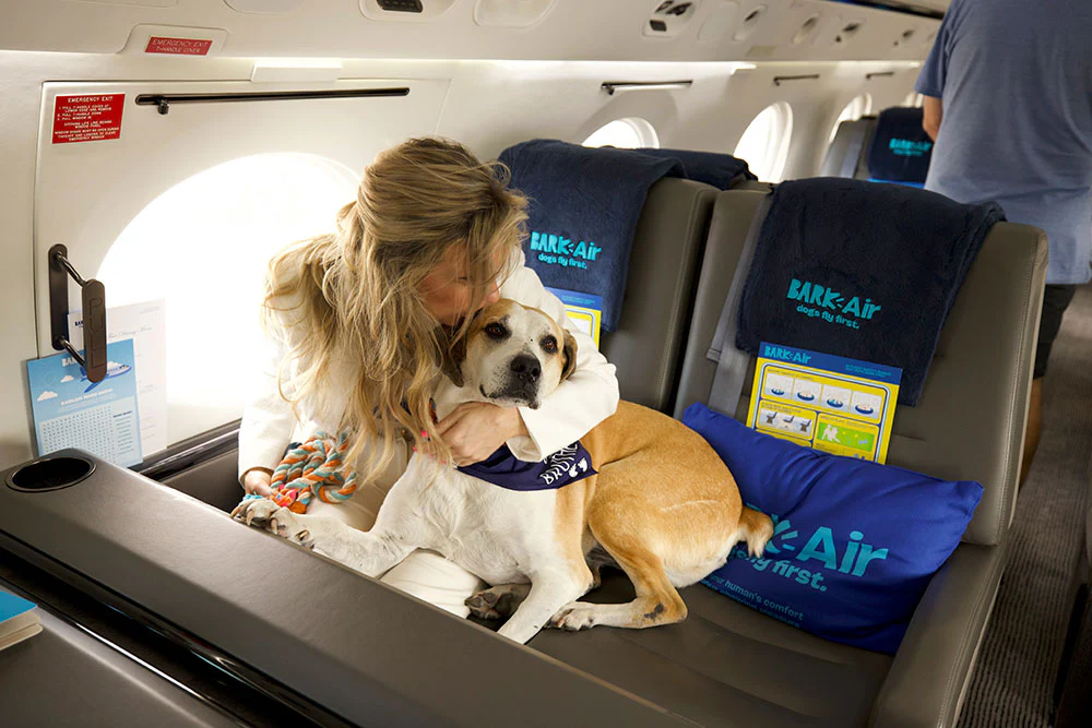 Therapy Dogs Now Part of Coastal Carolina Regional Airport Team Therapy Dogs Now Part of Coastal Carolina Regional Airport Team