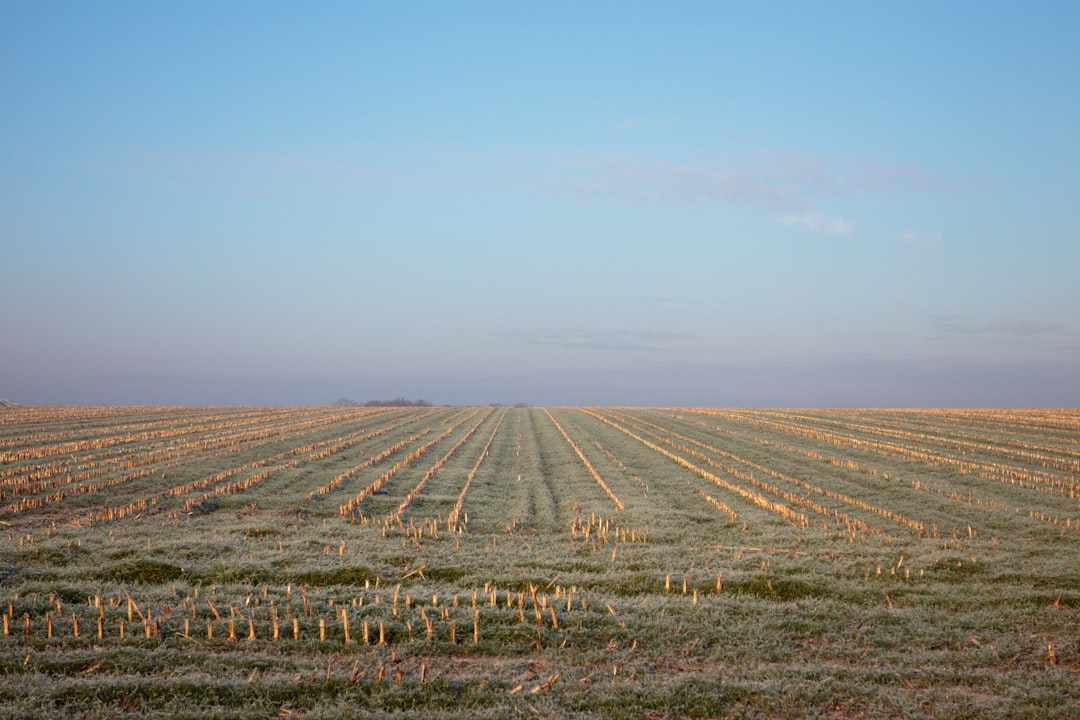 Six Border Crossings Open Jan 1 for Syrians in Türkiye with Permits Six Border Crossings Open Jan 1 for Syrians in Türkiye with Permits