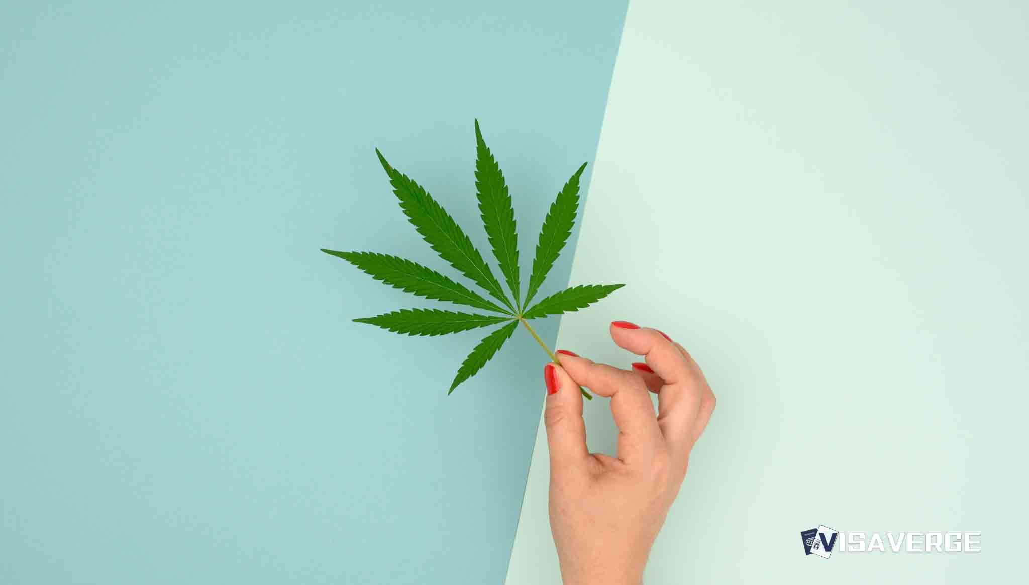 Alabama Marijuana Laws: Is Weed Legal in Alabama? Alabama Marijuana Laws: Is Weed Legal in Alabama?