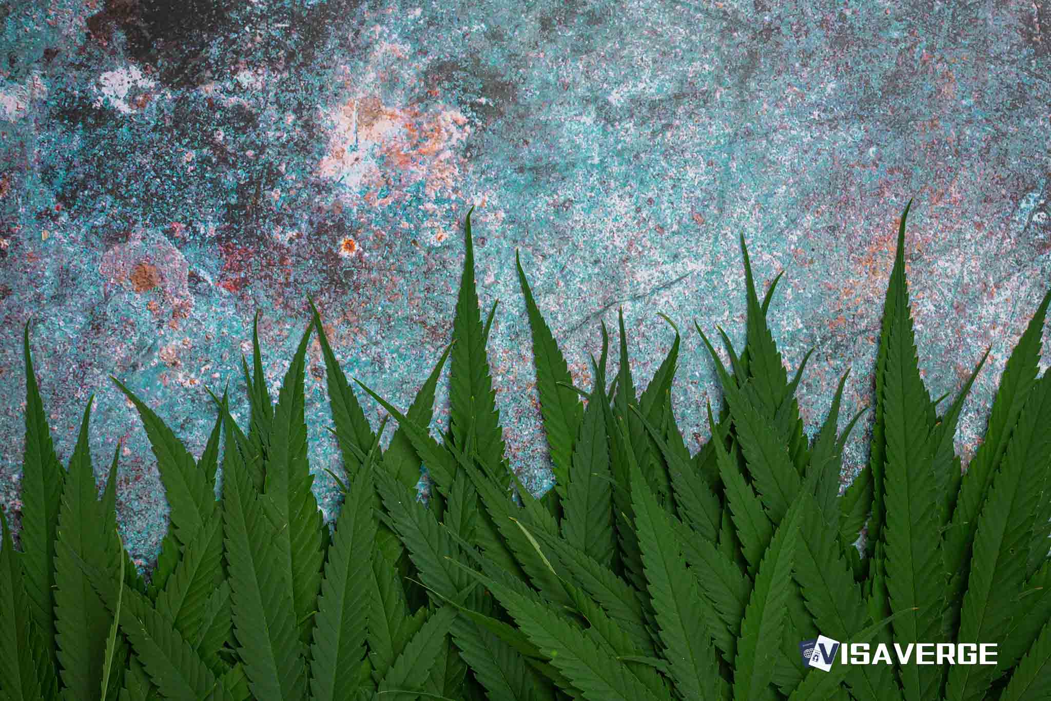 US Congressman Salud Carbajal Denied Access to Carpinteria Immigration Raid